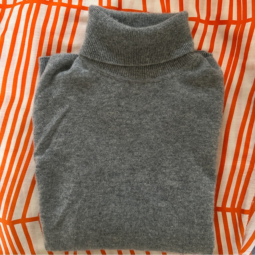 Quince Mongolian cashmere turtleneck SM